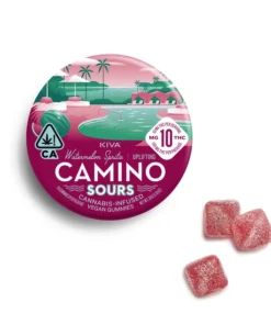 Camino Sours Watermelon Spritz