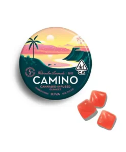 Camino Watermelon Lemonade