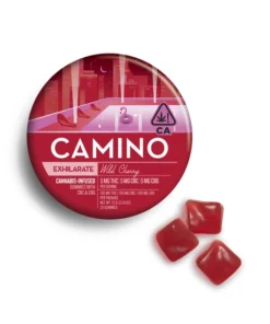 Camino Wild Cherry