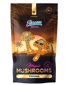 Enigma Magic Mushrooms