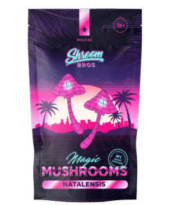 Natalensis Magic Mushroom